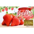 あまおう DX 約280g