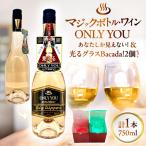 マジックボトル ワイン ONLY YOU 1本 &光るグラスBacada セット