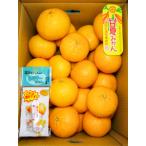 B361-15 甘夏 優2L 約10kg