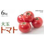 大玉 トマト 6kg