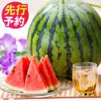 植木産 すいか Lサイズ 1玉