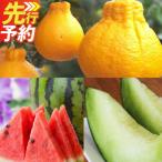 熊本フルーツ定期便3回 3月.4月.5月