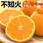 訳あり 不知火 計7kg