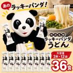 うどん ラッキーパンダうどん 36食