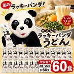 うどん ラッキーパンダうどん 60食