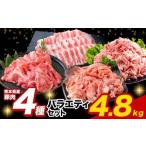 豚肉 ひごのポーク バラエティセット 4.8kg