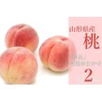 秀品 桃 品種おまかせ 約2kg_H229