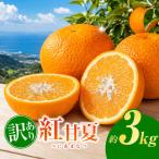 訳あり 紅甘夏 約 3kg