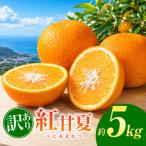訳あり 紅甘夏 約 5kg