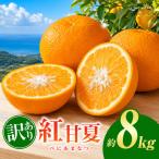 訳あり 紅甘夏 約 8kg