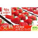 ふるさと納税 【先行予約】【数量限定40セット】島野農園のいちご（400g×1パック） 紅ほっぺ ほしうらら スターナイト 【島野農園】[AK.. 神奈川県横須賀市