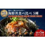丼 5種食べ比べ 各1食