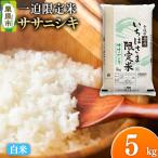 令和7年産 一迫 米 ササニシキ 5kg