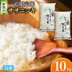 令和7年産 一迫 米 ササニシキ 10kg