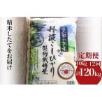 新米 令和8年 米 京都丹波米10kg こしひかり5kg