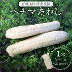 ヘチマたわし 未漂白 たわし ボディスポンジ