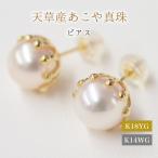 S101-429_あこや真珠 天草 熊本