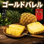 パイナップル ゴールドバレル TARUGO 約2.5kg