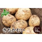 じゃがいも きたかむい