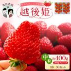 渡辺農園 越後姫 いちご 200g×2パック
