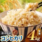 令和8年度産 こしひかり 玄米 約4kg