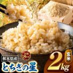 令和8年度産 とちぎの星 玄米 約2kg