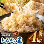 令和8年度産 とちぎの星 玄米 約4kg