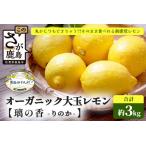 オーガニック大玉レモン 璃の香 約3kg