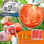 全国第2位受賞 糖度8度以上の濃厚フルーツトマト約1.6kg 80…