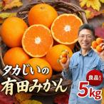 タカじいの有田 みかん 5kg