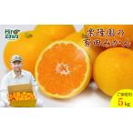 有田 みかん ご サイズ混合 5kg