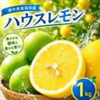 レモン 1kg