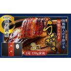 ショッピングうなぎ 蒲焼き 国内産 送料無料 ふるさと納税 浜名湖産 うなぎ蒲焼き 特製タレ付き 2尾 京都府舞鶴市