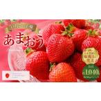 いちごの王様 あまおう 約260g×4パック