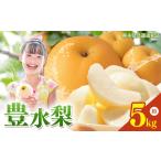 ショッピングふるさと納税 梨 ふるさと納税 栃木県産梨 豊水 5kg 栃木県真岡市