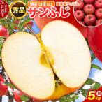 りんご サンふじ 約5kg
