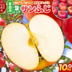 りんご サンふじ 王林 詰め合わせ 約10kg