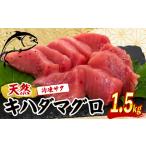 キハダマグロ 赤身 1.5kg