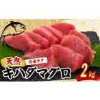 キハダマグロ 赤身 2kg