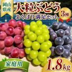 訳あり シャインマスカット 訳あり大粒ぶどう3種セット