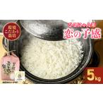 令和7年産 きぬむすめ 白米 5kg