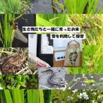令和8年産 玄米5kg