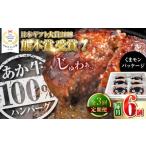 ふるさと納税 【全3回定期便】くまモンあか牛ハンバーグ 約120g×6個 ハンバーグ[AYCQ076] 熊本県合志市