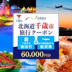 日本旅行 地域 旅行クーポン 60,000円