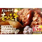 こやま牧場の壱岐牛ハンバーグ 化粧箱5個入