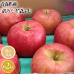 りんご サンふじ 約2kg