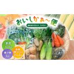 野菜セット おいしかぁ~便 詰め合わせ 新鮮野菜