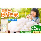 コシヒカリ 5kg