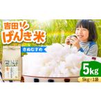 有機米 無農薬 きぬむすめ 玄米 5kg