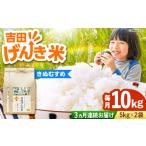 吉田げんき米きぬむすめ 10kg